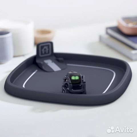 Anki Vector