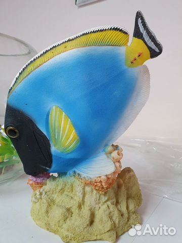Рыбка "Дори" для аквариума купить на Зозу.ру - фотография № 2