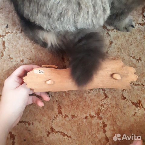 Каряга для аквариума