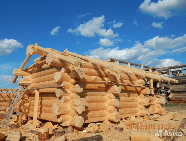 Сруб бани в диком стиле. Дикий сруб. Сборка