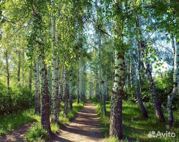 Участок 12 сот. (ИЖС)