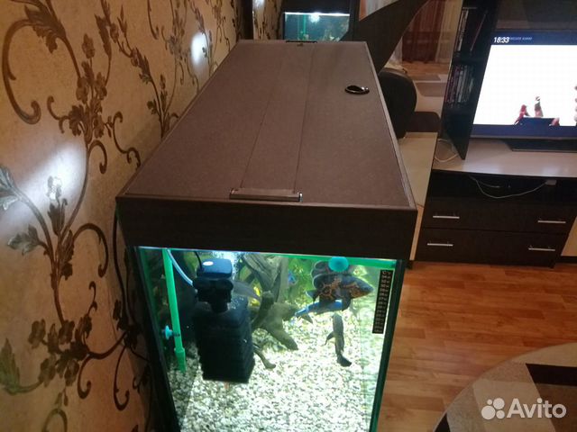 Украшение для аквариума купить на Зозу.ру - фотография № 2