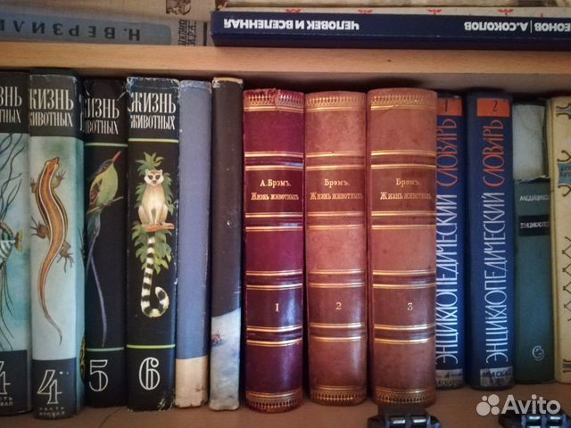 Трехтомник Брэм, Жизнь животных