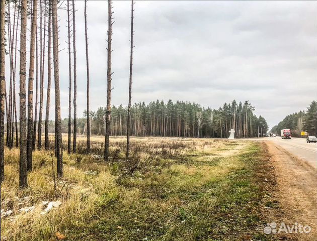 Купить Дом В Борщевке Тамбовской Области