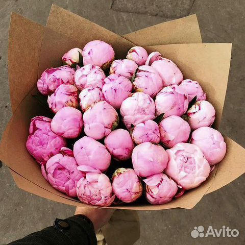 Букет пионов 11 15 19 25 101 пион Цветы доставка Букет пионов 11 15 19 25 101 пион Цветы доставка