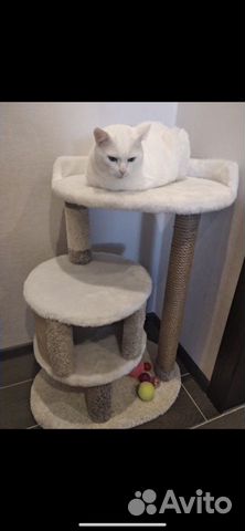 Домик для кошки Домик для кошки