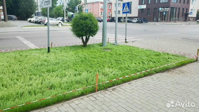 Предложение услуг, сад благоустройство