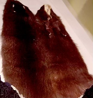 Шкурки нутрия