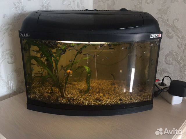 Аквариум