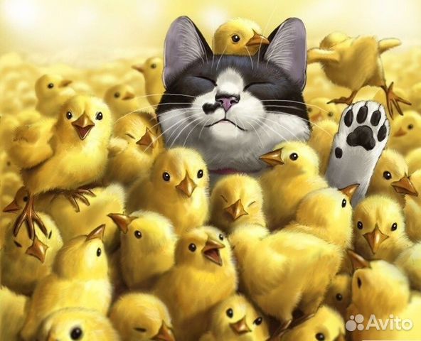 Суточные цыплята на корм