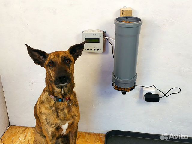 Автокормушка для больших собак электронная