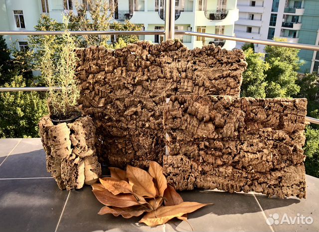 Кора пробкового дуба Фон для террариума