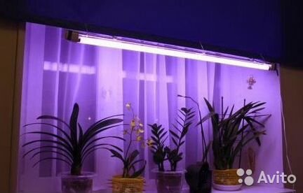 Лампа для растений светодиодная