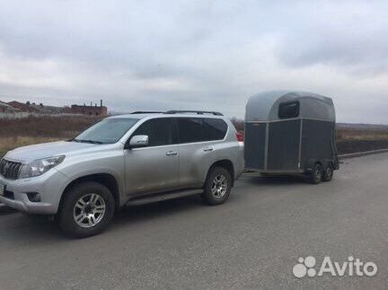 Перевозка лошадей