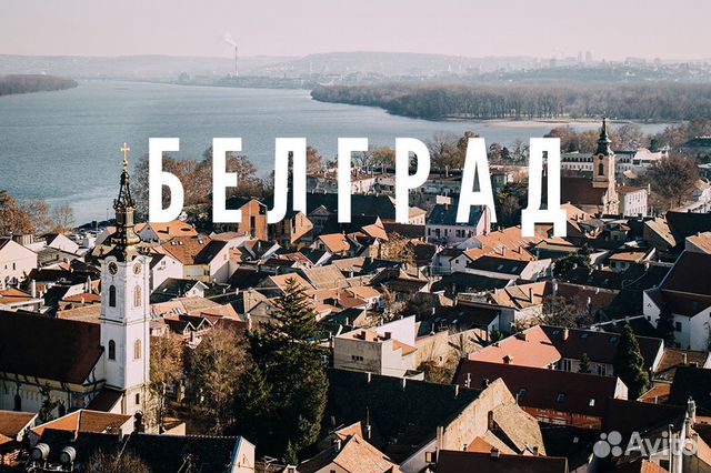 белград авито
