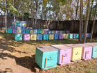 Пчеловодное хозяйство объявление продам