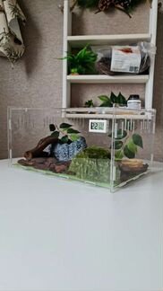 Акриловый террариум для эублефаров