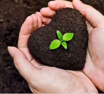 Навоз конский в мешках, свежий