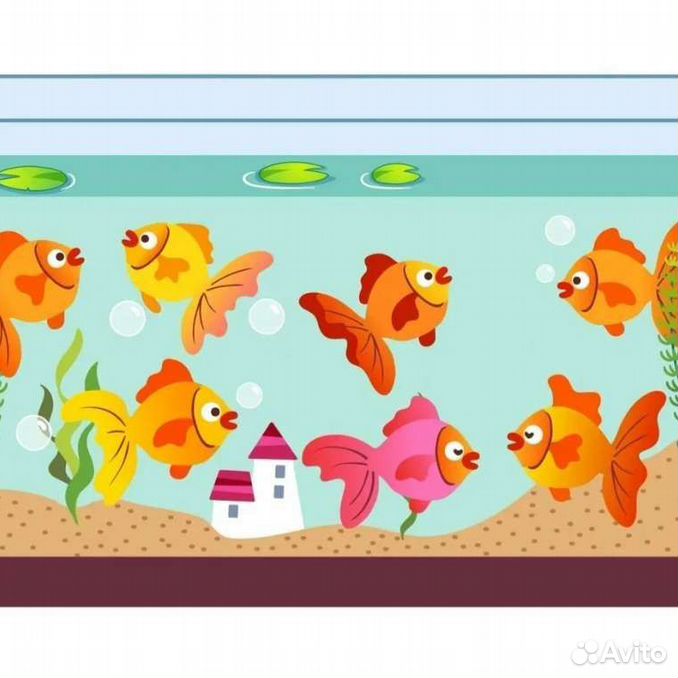 В 10 аквариумах было поровну рыбок. Рыбки для аквариума. Аквариум с рыбками для детей. Аквариум рыбки для дет. Аквариум с рыбками для детей дошкольного возраста.