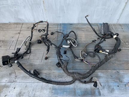 Проводка двигателя jaguar x-type 2.5 v6