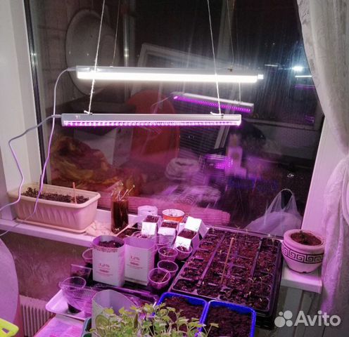 Led лампа для растений, фито лампа, для рассады купить в Москве ...