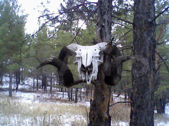 Участок 9 сот. (ИЖС)