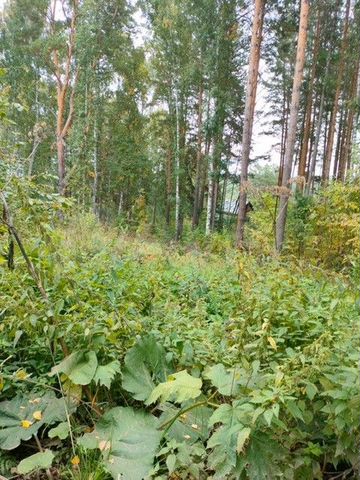 Участок 14 сот. (СНТ, ДНП)