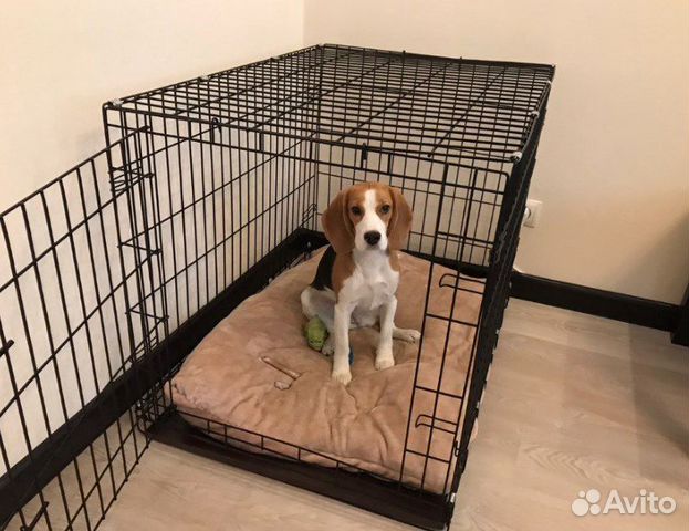 Клетка (вольер) для животных в квартиру