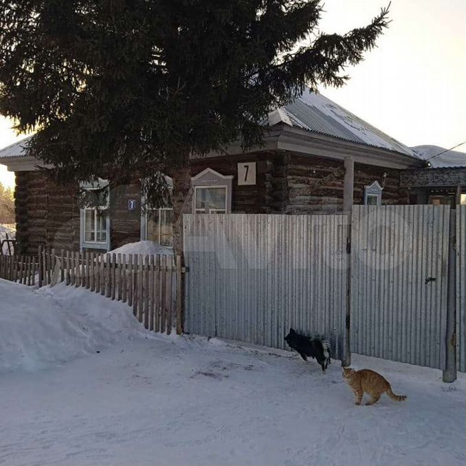 Домашняя юрга. Деревня Лебяжье Асаново
