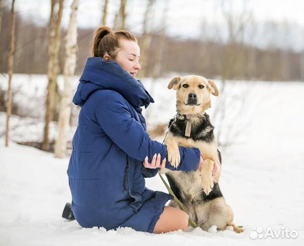 Нежная и добрая собачка