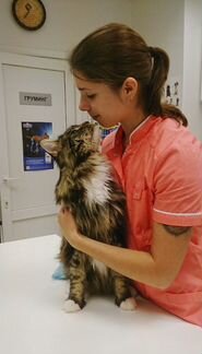 Ветеринарный врач - Выезд на дом (Москва и М.о.)