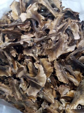 Перегородки грецких орехов