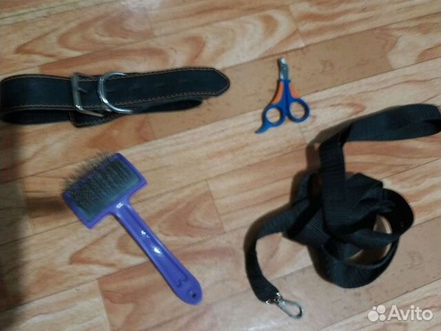 Ножницы и 2 миски,поводок 2 шт