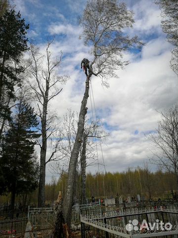 Спил деревьев Иваново