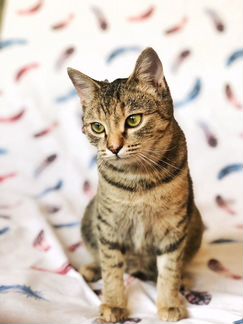 Флора в самые добрые ручки