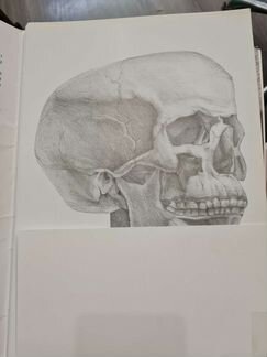 Образцы рисунков (1-2часть)