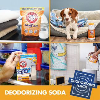 Очищенная пищевая сода Arm & Hammer, 454г