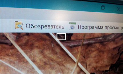 Монитор samsung SyncMaster 510M б/у