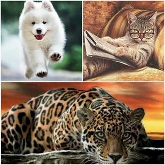 Алмазная мозаика Животные