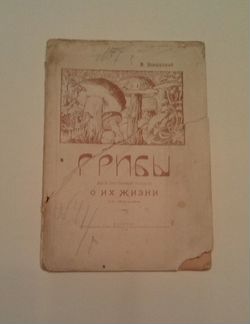 М.Новорусский «Грибы» 1919г