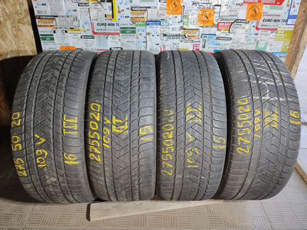 275 50 20 Pirelli Scorpion Winter