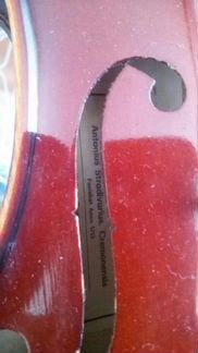 Antonius Stradivarius Cremonensis 1713