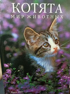 Книги Мир животных: кошки, котята, собаки