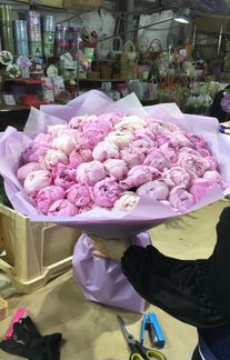 Хризантема