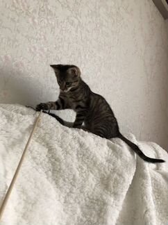 Охотница за привелениями