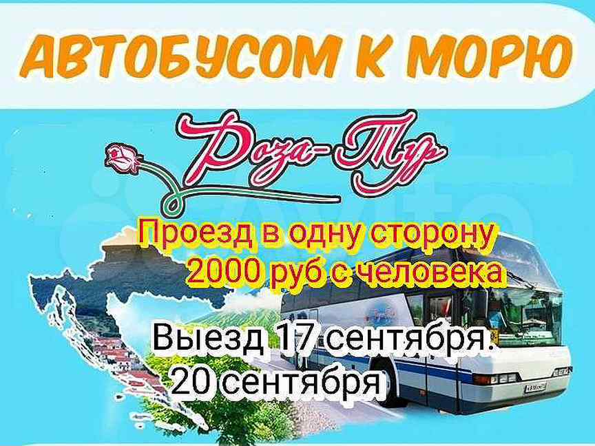 Автобусом к морю из владимира. Автобусом к морю из Белгорода. Автобусом к морю из Белгорода 2024. Автобус Белгород Джубга.