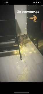 Гирлянда капелька с адаптером