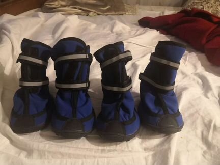 Обувь для собак