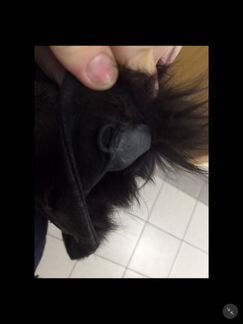 Меховая жилетка