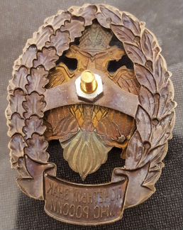 Почетный знак мчс